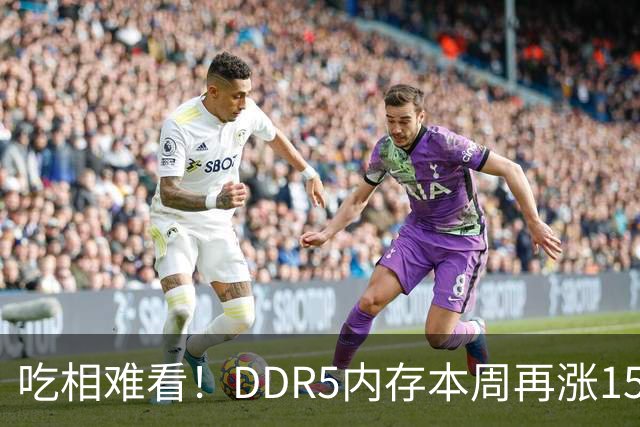 吃相难看！DDR5内存本周再涨15%：供应商竟强行取消老订单
