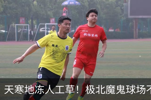天寒地冻人工草！极北魔鬼球场不容小觑 德甲双雄先后吃瘪
