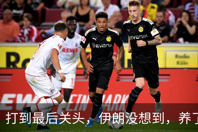 打到最后关头，伊朗没想到，养了20多年的哈马斯，竟跪在了黎明前