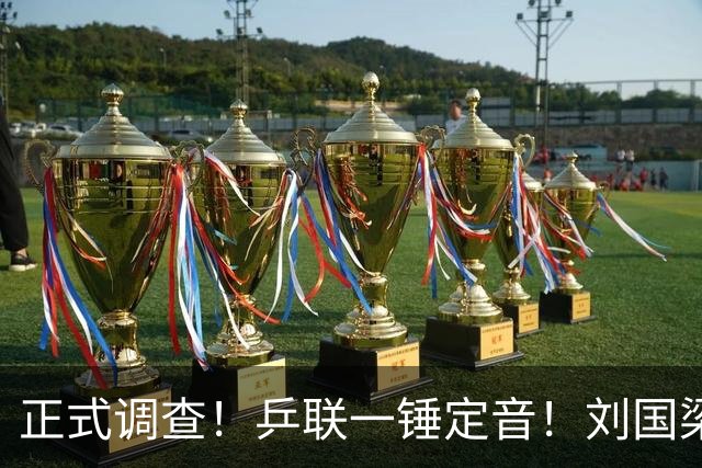 正式调查！乒联一锤定音！刘国梁仍挂职，孙颖莎表态拒绝越线球迷
