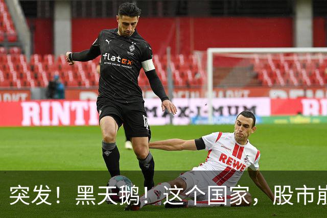 突发！黑天鹅！这个国家，股市崩盘!
