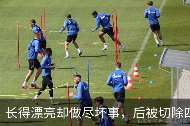 长得漂亮却做尽坏事，后被切除四个器官，就连小十五岁老公也出轨